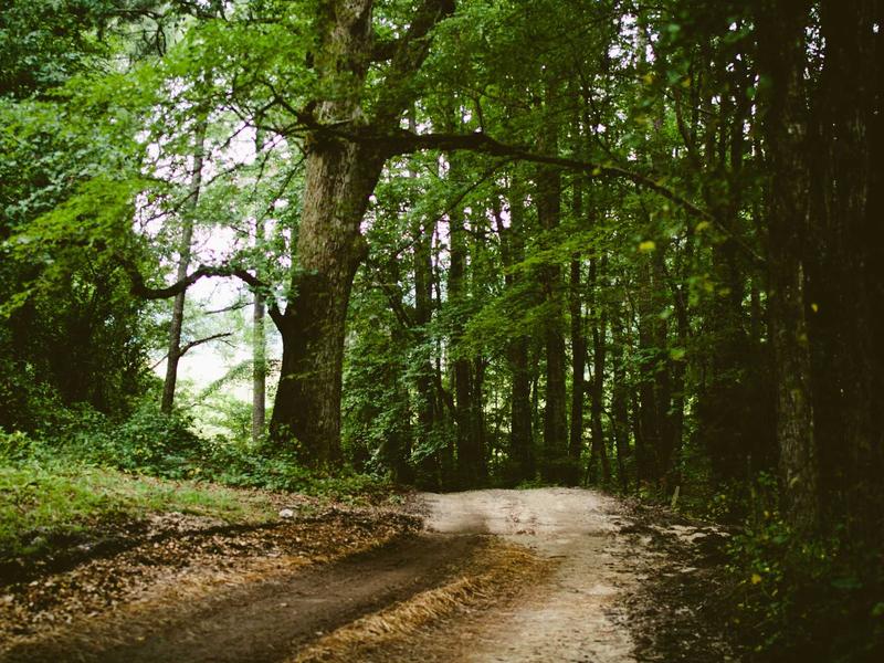 sudoku pattern learning screenshot 6
