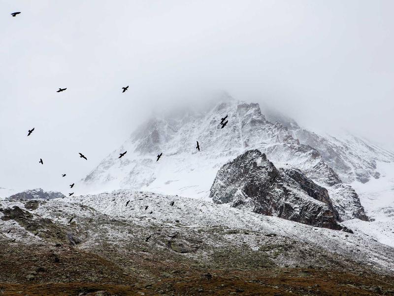 sudoku smart highlighting screenshot 1